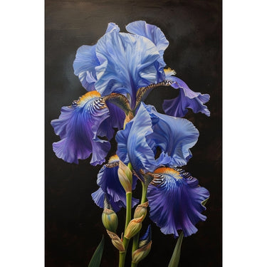 Iris Flowers canvas